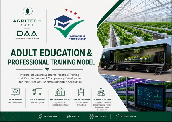 DAA Programme and Curriculum Presentation cover